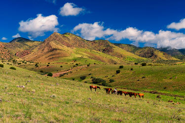 Highland Springs Ranch